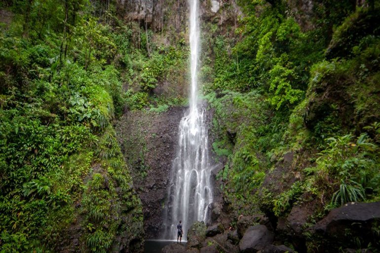 CARICOM Consulting Cabinet Central Zone UN Global Ambassadors unite to support sustainable agriculture child care and UN initiatives