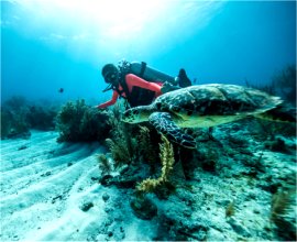 CARICOM Consulting Cabinet Northern Zone